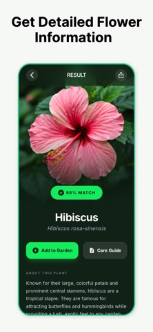 Flower Identifier App Screenshot 2 of 4