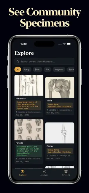 Bone Identifier screenshot 3