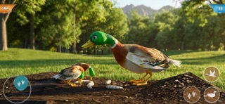 Duck Game Bird Simulator Screenshot 4 of 6