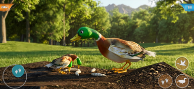 Duck Game Bird Simulator Screenshot 4 of 6