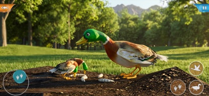 Duck Game Bird Simulator screenshot 4