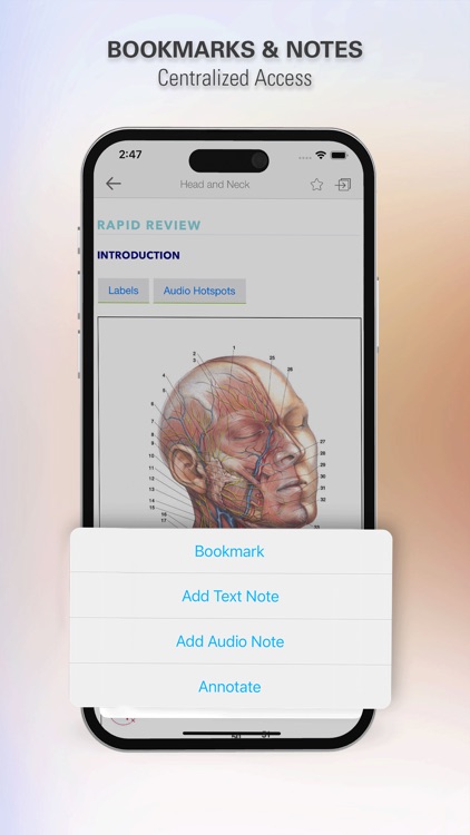 Rapid Review Anatomy Guide screenshot-7