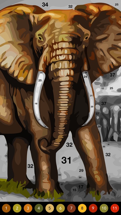 Photo by Number screenshot-0