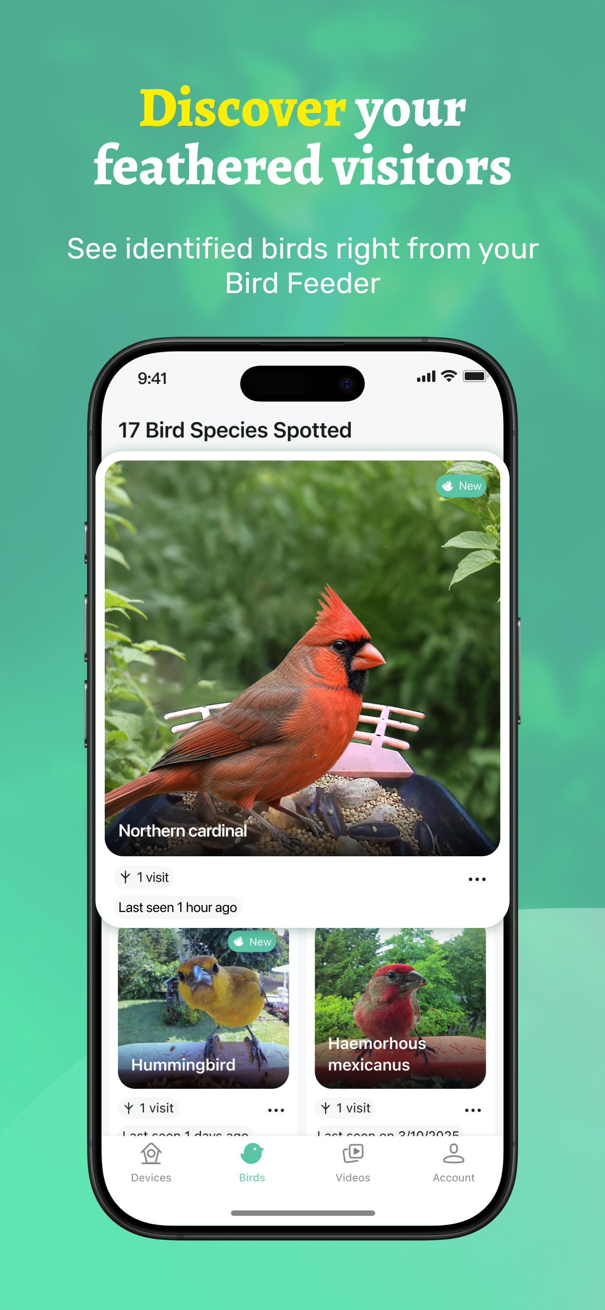 Vico Nature: Smart Nature View