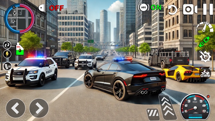 Cops Cars Transport Simulation