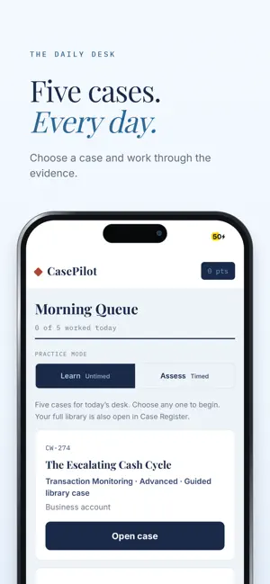 CasePilot: AML Investigator screenshot 2