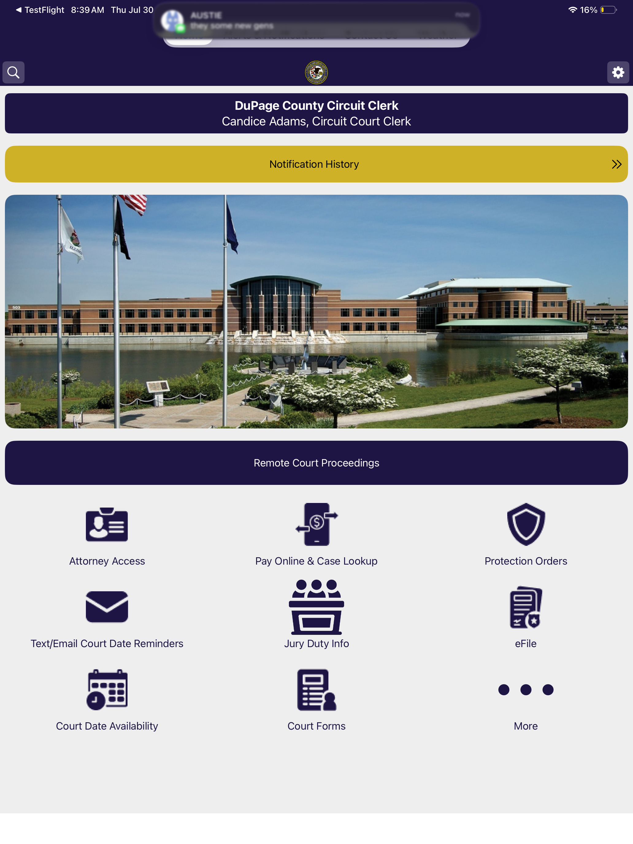 DuPage County Circuit Clerk screenshot 4