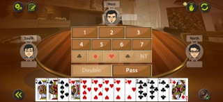 Auction Bridge & IB Card Game iPhone screenshot