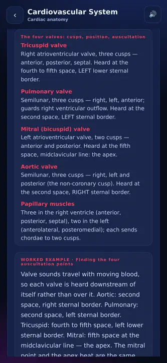Anatomy Arena screenshot 2