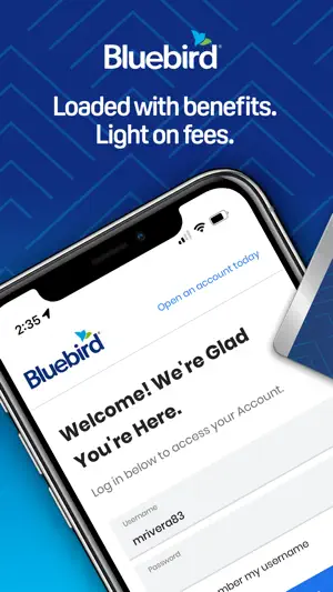 Bluebird App screenshot 1