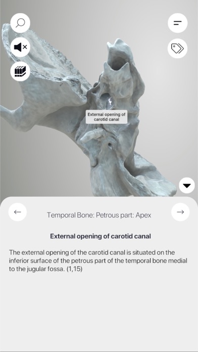 3D Osteology Screenshot