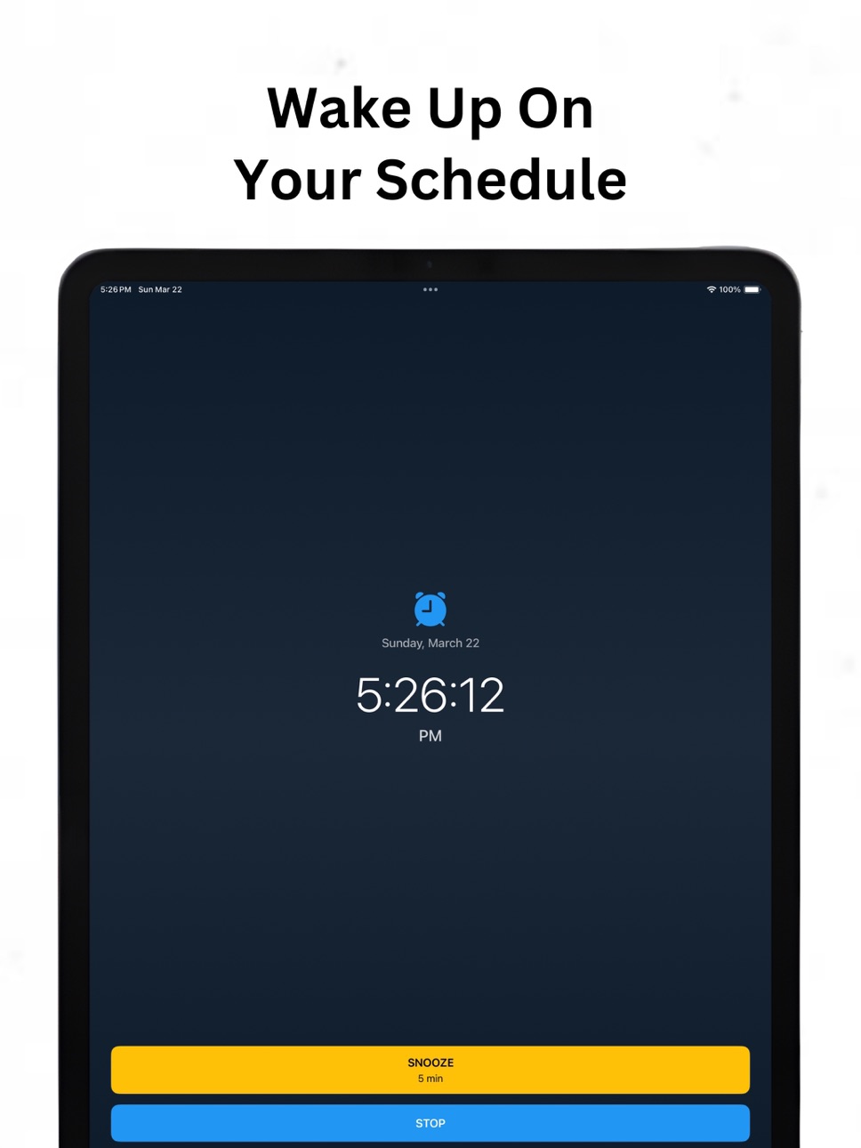 iPad screenshot