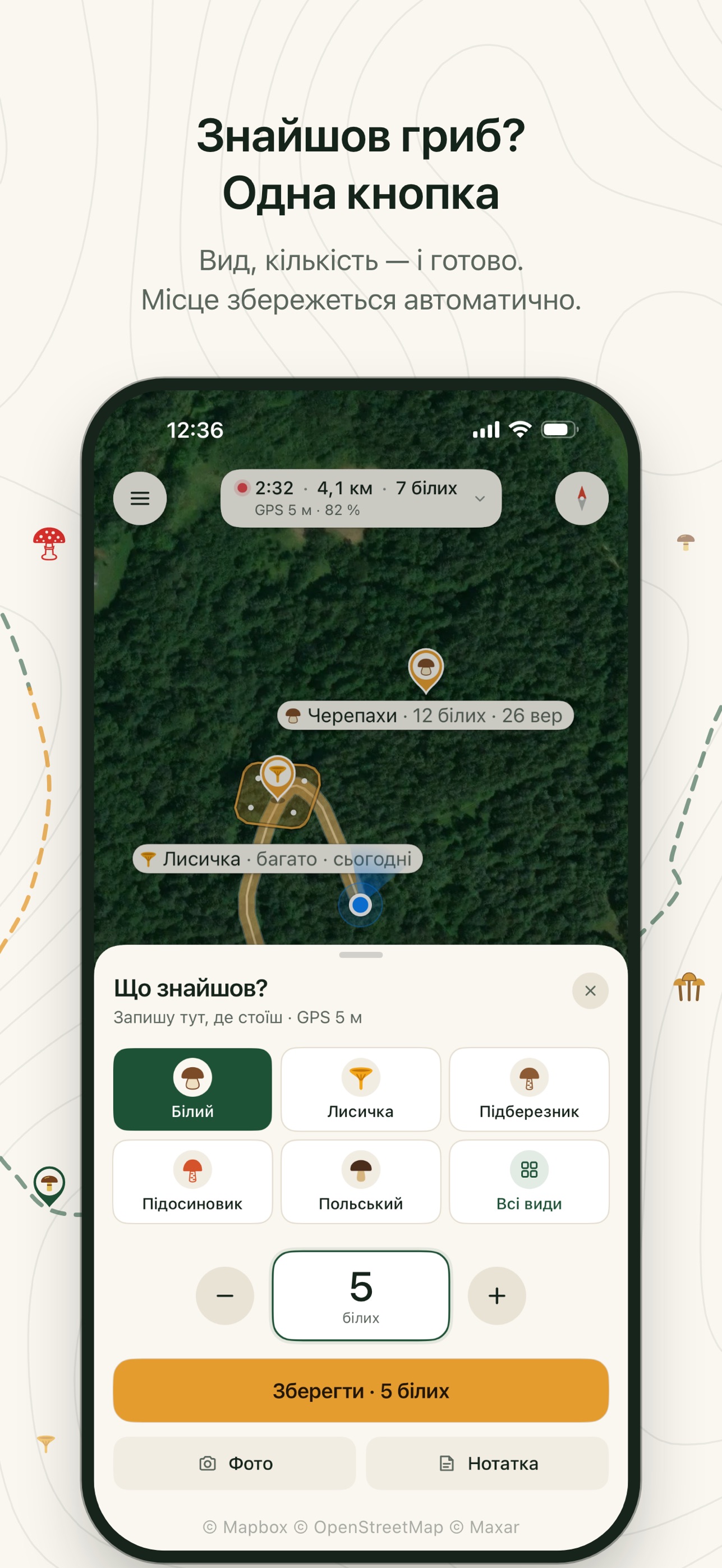 Screenshot 2 of Lisovychok