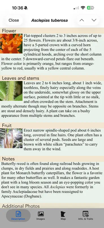 Minnesota Wildflowers Info. screenshot 6 of 10
