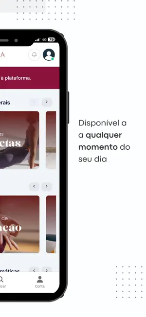 Portal Emana screenshot 2