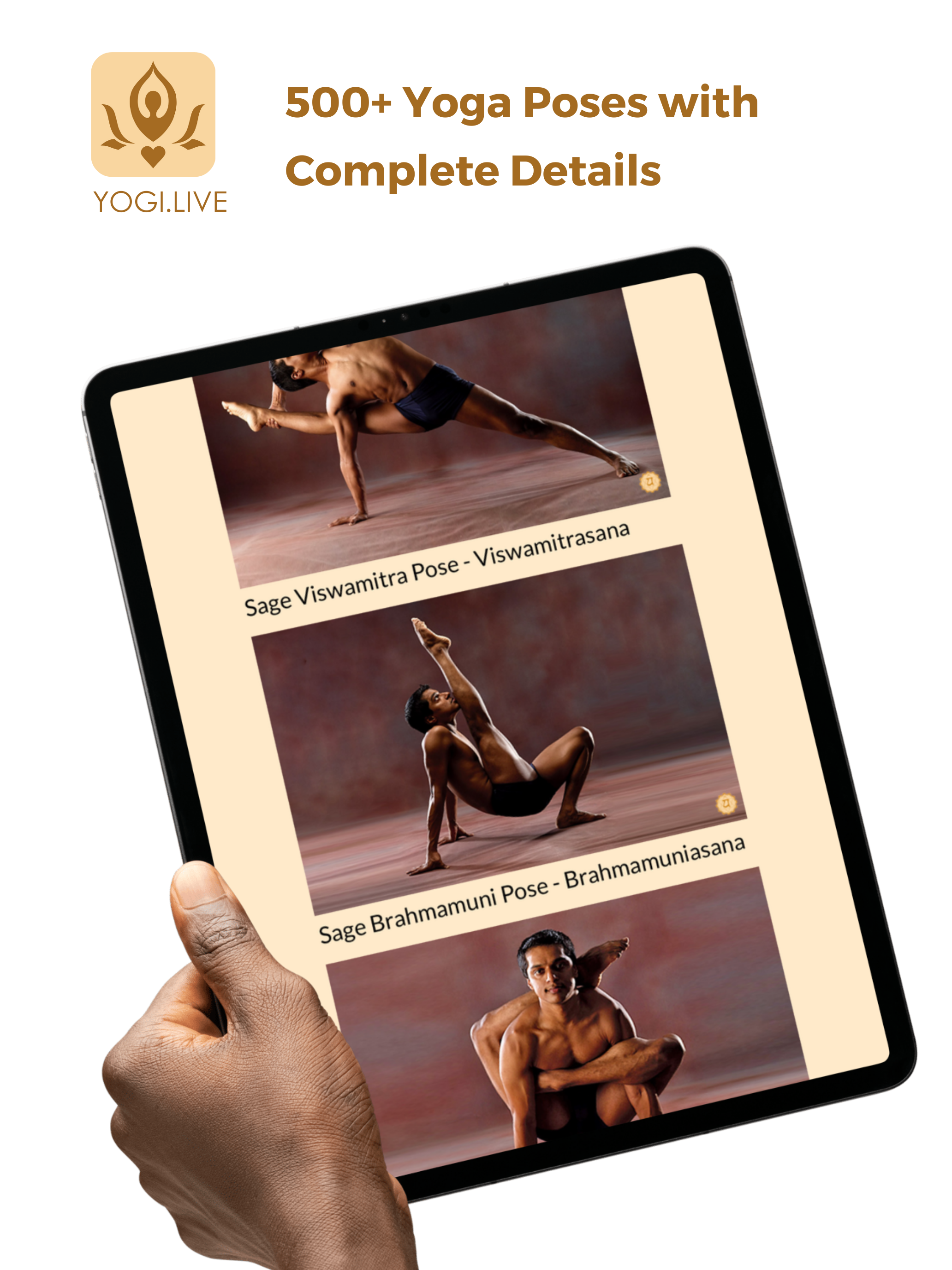 Yogi.Live