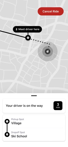 Mountain Express screenshot