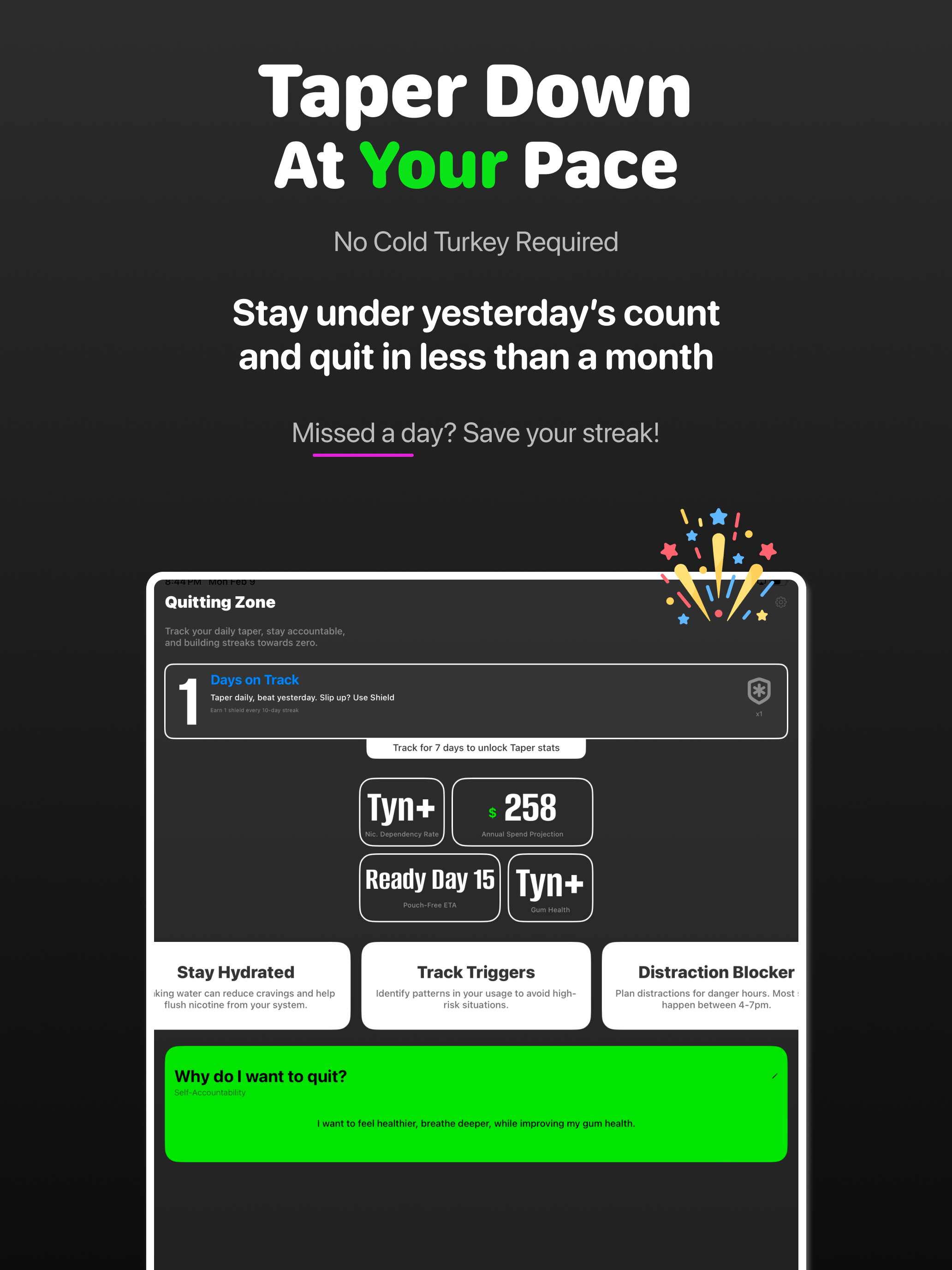 Quit Zyn & Pouch Tracker: Tyn