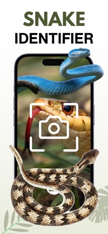 Snake Identifier - AI Scanner Screenshot 1 of 4
