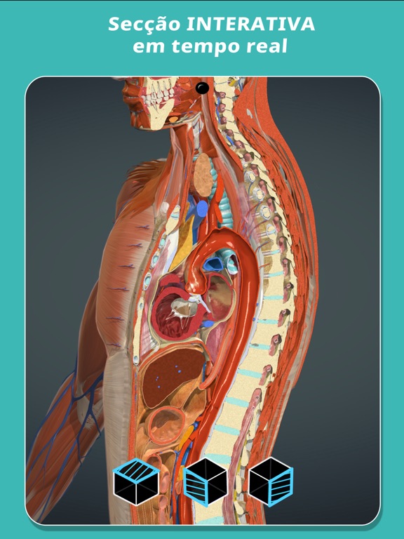 Anatomy Learning - Anatomia 3D iPad screenshot 7