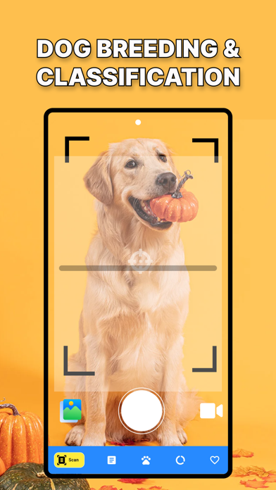 Dog Identification-DogScanner Screenshot