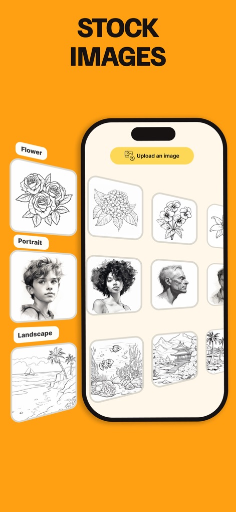 Trace Table - Light Box - Discover a diverse collection of stock images, organized by categories like Flower and Portrait, or easily upload custom artwork.