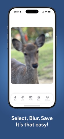 BlurApp screenshot