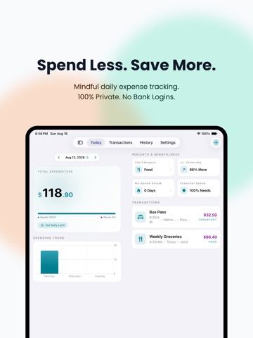 Spent Today: Expense Tracker iPad screenshot