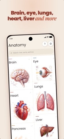 Human: Anatomy 3D Screenshot 10 of 10