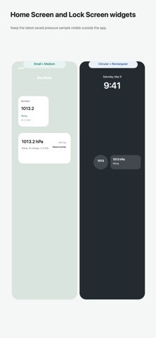 BaroNote screenshot