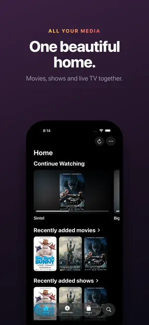 Bandit Media Player screenshot 2