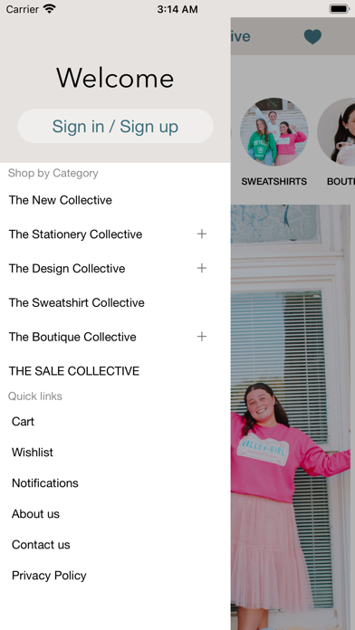 The Valley Collective Screenshot