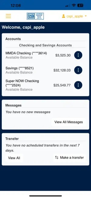 LNB Mobile Banking screenshot 2