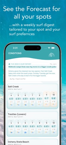 Surfmore: Ai Surf Planner Screenshot 5 of 7