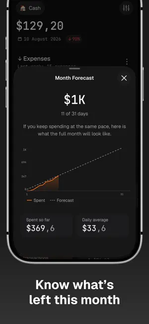 Goose: Manual Expense Tracker screenshot 4