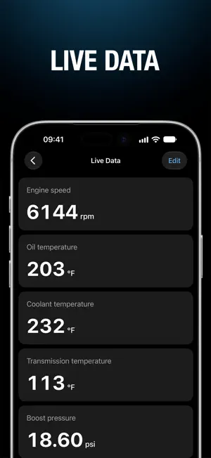 BimmerLink screenshot 2