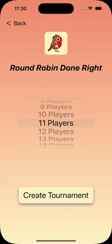 Round Robin Done Right screenshot 2