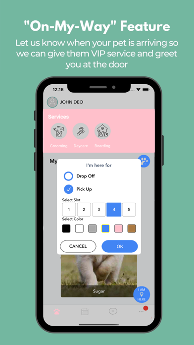 The Pooch Pad iPhone screenshot 1 - Lifestyle app