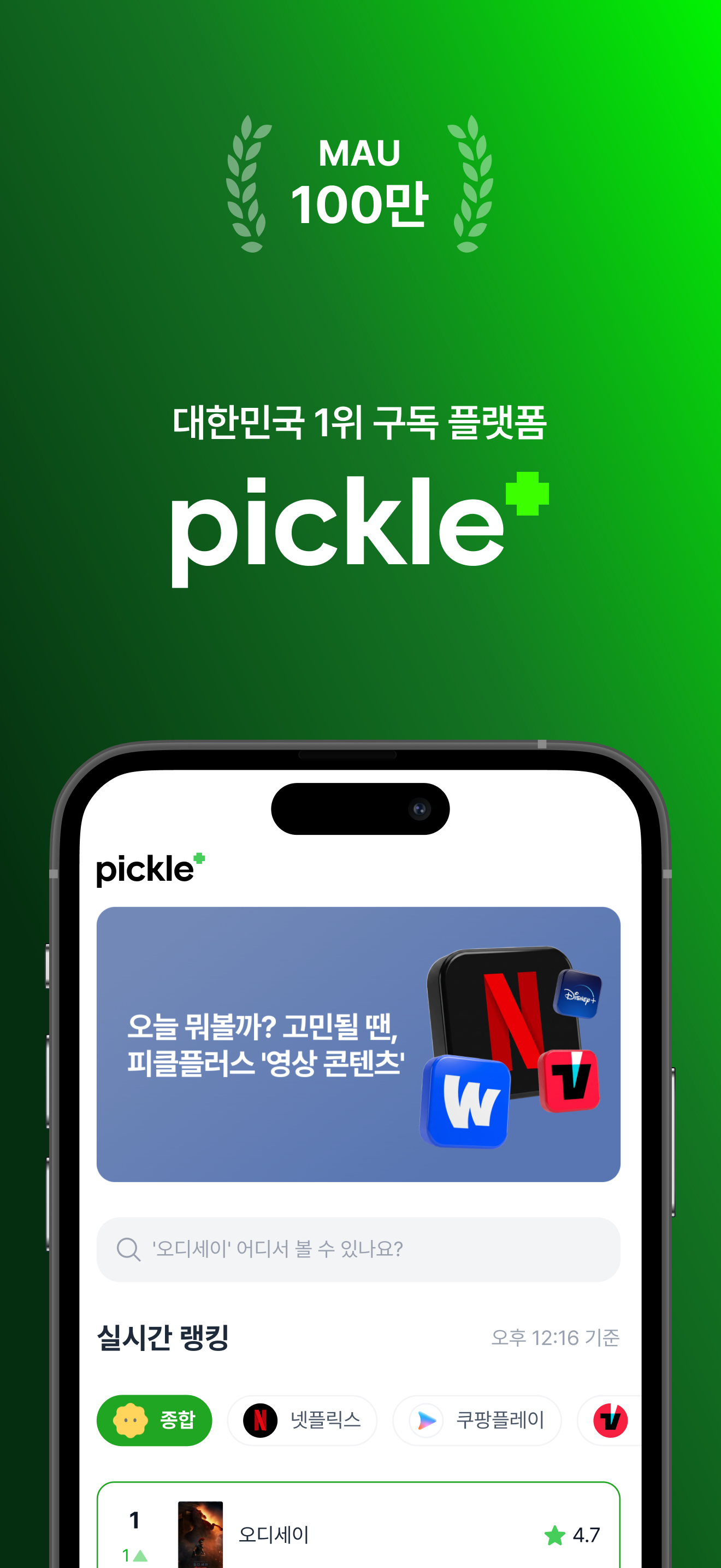 피클플러스