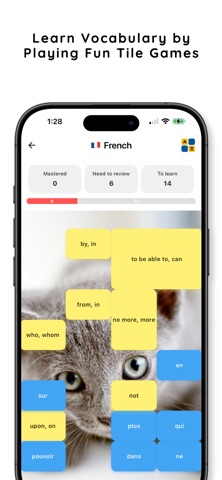 Memotile: Vocabulary Builder screenshot