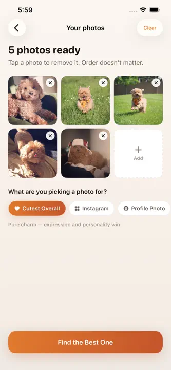 Pick of the Litter screenshot 2