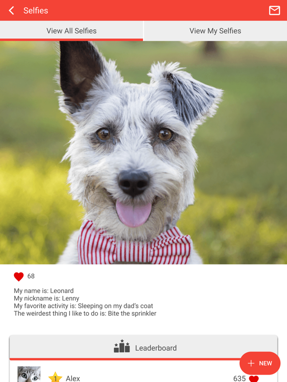 Cooper County Animal Hospital iPad screenshot 4 - Business app