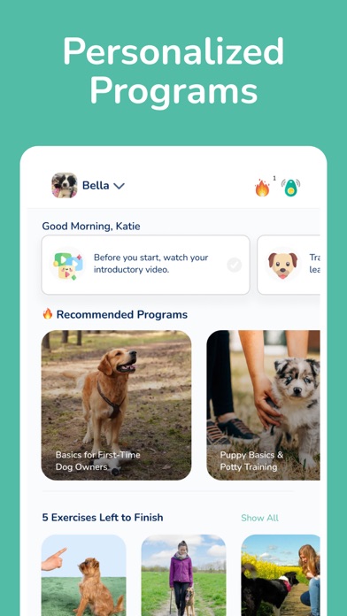 Hundeo - Puppy & Dog Training Screenshot