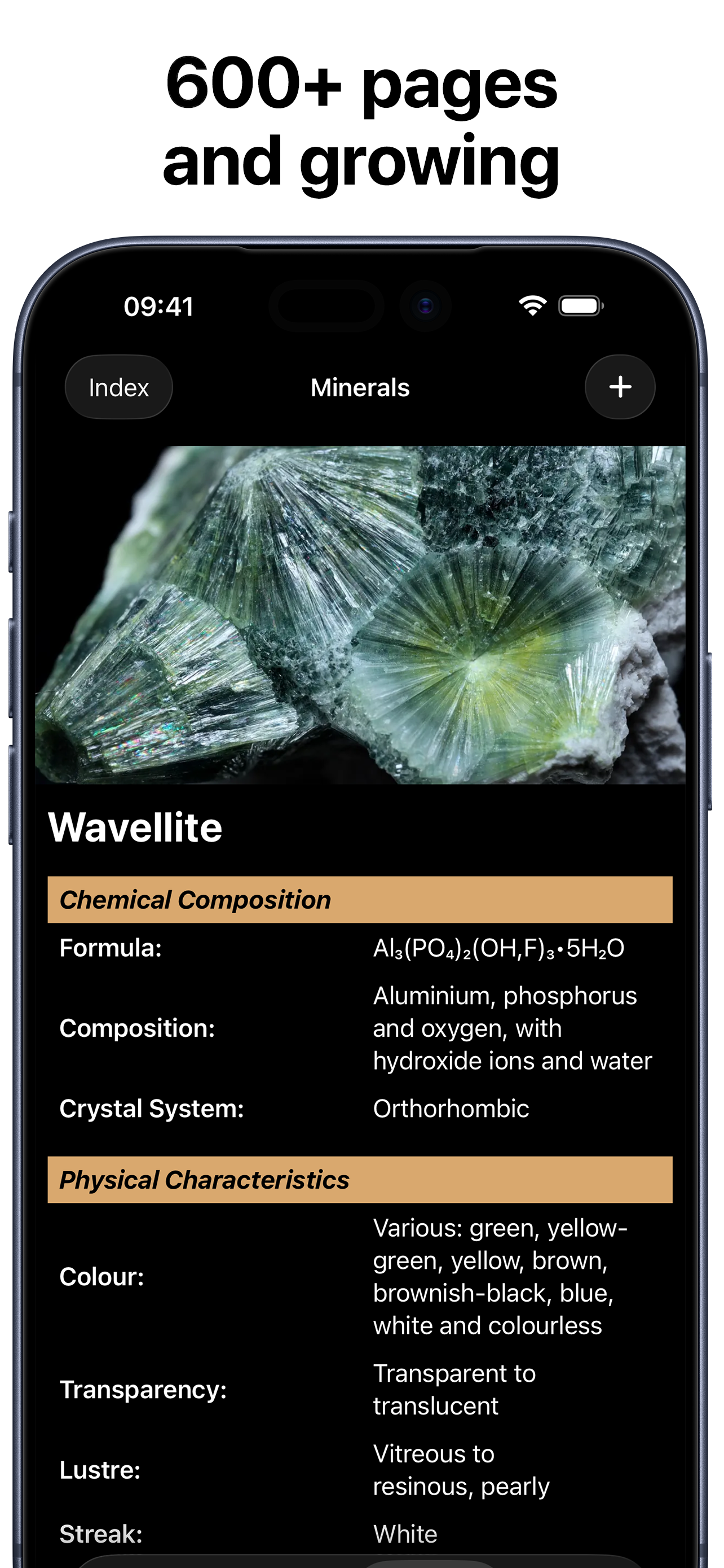 SaltShack Minerals