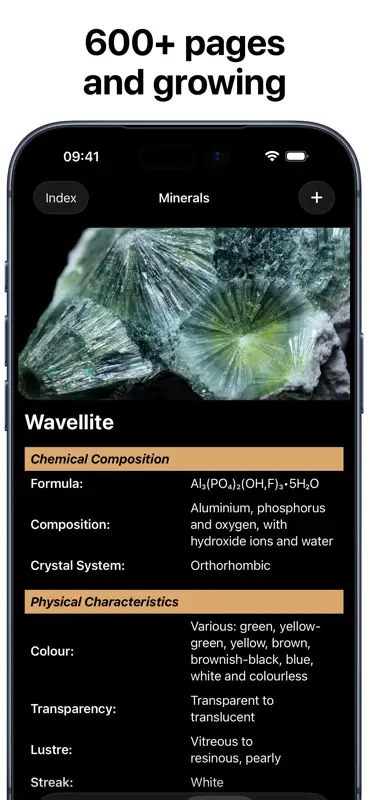 Salt Shack Minerals screenshot 3 of 8