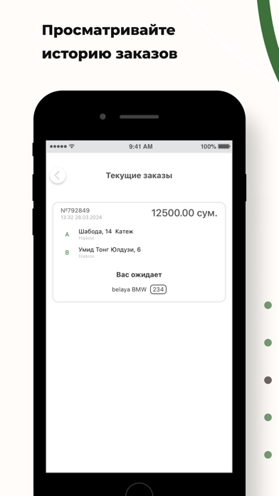TaxiGo 1177 Screenshot
