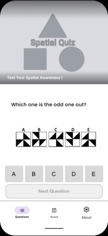 Spatial Quiz iPhone screenshot