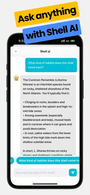 Sea Shell Identifier: Ocelexia screenshot 2