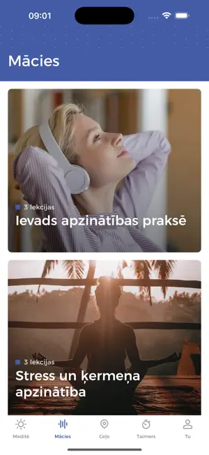 Miervidi screenshot 4