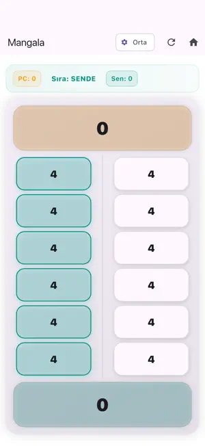 Akıl-Zeka Oyunları screenshot 2